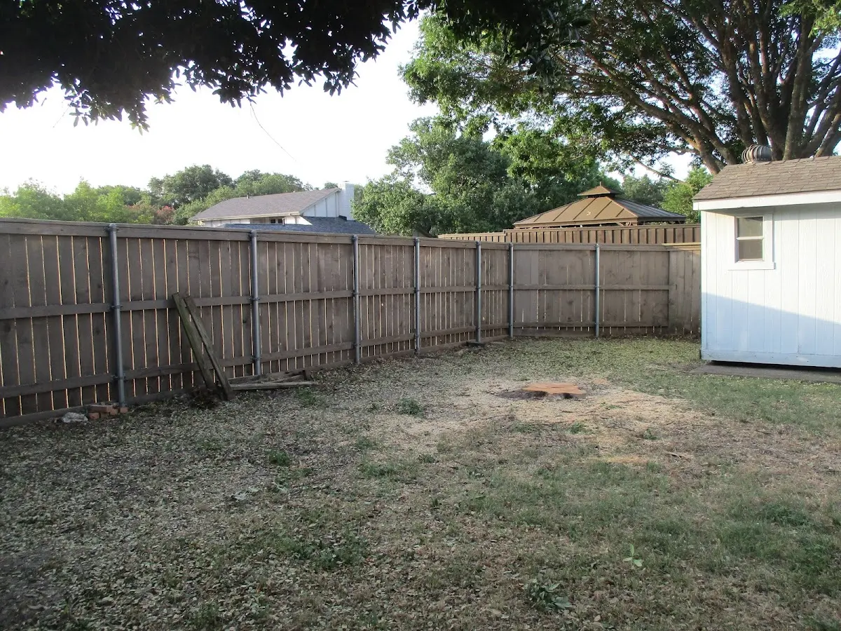 Cleared yard after professional tree removal in Rock Port